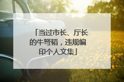当过市长、厅长的牛弩韬，违规编印个人文集