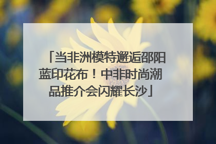 当非洲模特邂逅邵阳蓝印花布！中非时尚潮品推介会闪耀长沙