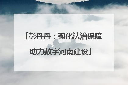 彭丹丹：强化法治保障 助力数字河南建设