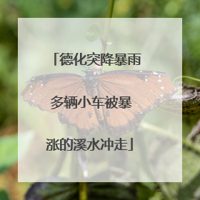 德化突降暴雨 多辆小车被暴涨的溪水冲走