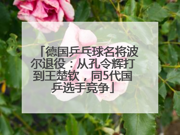 德国乒乓球名将波尔退役：从孔令辉打到王楚钦，同5代国乒选手竞争