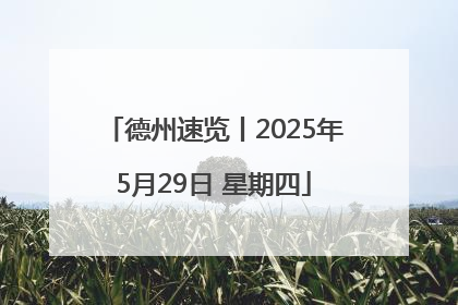 德州速览丨2025年5月29日 星期四