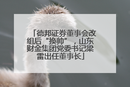 德邦证券董事会改组后“换帅”，山东财金集团党委书记梁雷出任董事长