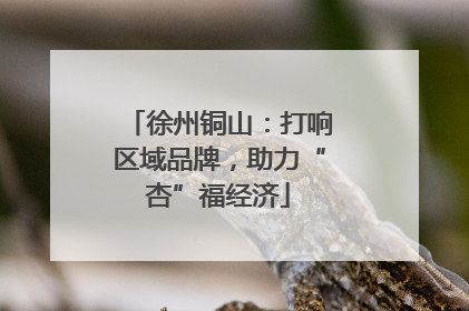 徐州铜山：打响区域品牌，助力“杏”福经济