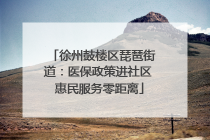 徐州鼓楼区琵琶街道：医保政策进社区 惠民服务零距离