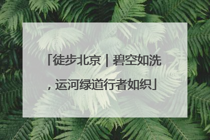 徒步北京｜碧空如洗，运河绿道行者如织
