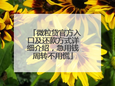 微粒贷官方入口及还款方式详细介绍，急用钱周转不用慌