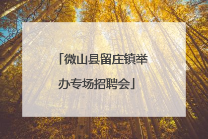 微山县留庄镇举办专场招聘会