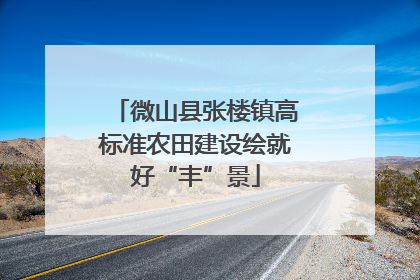 微山县张楼镇高标准农田建设绘就好“丰”景