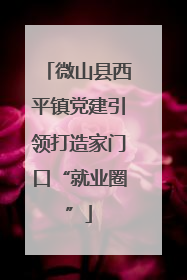 微山县西平镇党建引领打造家门口“就业圈”