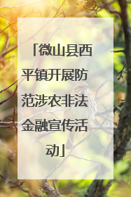 微山县西平镇开展防范涉农非法金融宣传活动