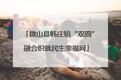 微山县韩庄镇“双圈”融合织就民生幸福网
