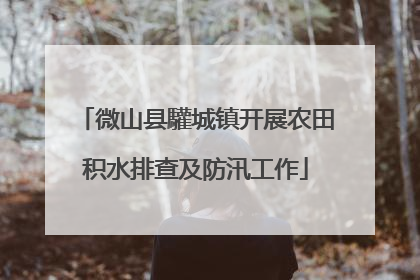 微山县驩城镇开展农田积水排查及防汛工作