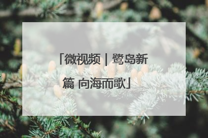 微视频｜鹭岛新篇 向海而歌