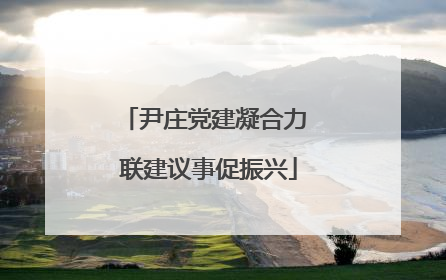 尹庄党建凝合力 联建议事促振兴