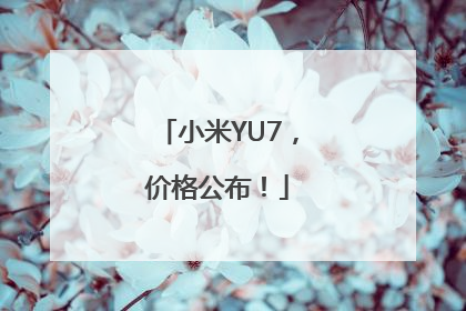 小米YU7，价格公布！