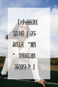 小丽逛菜场｜苏超这“鹅”到底谁家的？