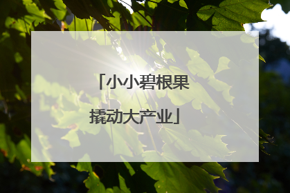 小小碧根果撬动大产业