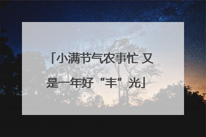小满节气农事忙 又是一年好“丰”光