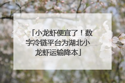 小龙虾便宜了！数字冷链平台为湖北小龙虾运输降本