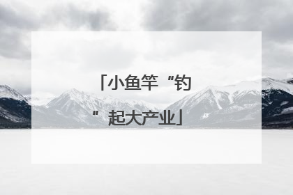 小鱼竿“钓”起大产业