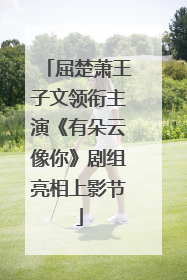屈楚萧王子文领衔主演《有朵云像你》剧组亮相上影节