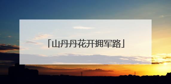山丹丹花开拥军路