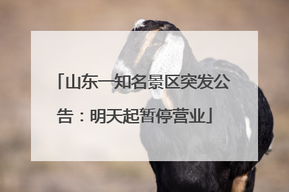 山东一知名景区突发公告：明天起暂停营业