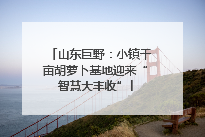 山东巨野：小镇千亩胡萝卜基地迎来“智慧大丰收”
