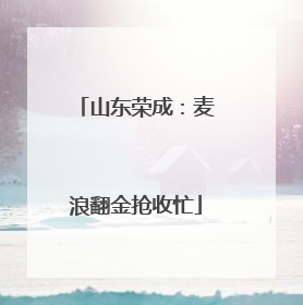 山东荣成：麦浪翻金抢收忙