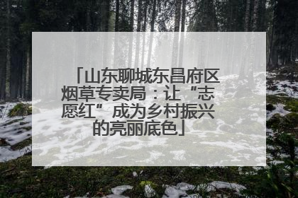 山东聊城东昌府区烟草专卖局：让“志愿红”成为乡村振兴的亮丽底色