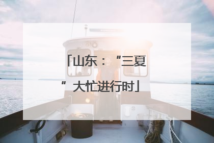 山东：“三夏”大忙进行时