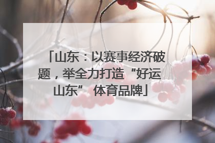 山东：以赛事经济破题，举全力打造“好运山东” 体育品牌