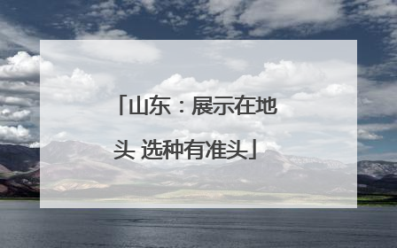 山东：展示在地头 选种有准头