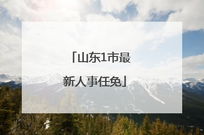 山东1市最新人事任免