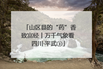 山区县的“药”香致富经丨万千气象看四川·平武③