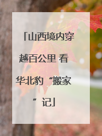 山西境内穿越百公里 看华北豹“搬家”记