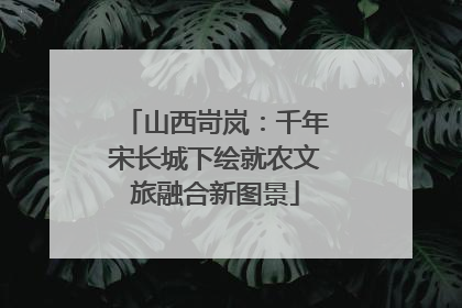 山西岢岚：千年宋长城下绘就农文旅融合新图景