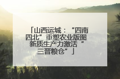 山西运城：“四南四北”重塑农业版图 新质生产力激活“三晋粮仓”