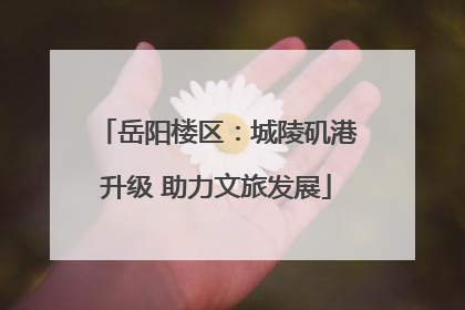 岳阳楼区：城陵矶港升级 助力文旅发展