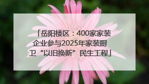 岳阳楼区：400家家装企业参与2025年家装厨卫“以旧换新”民生工程