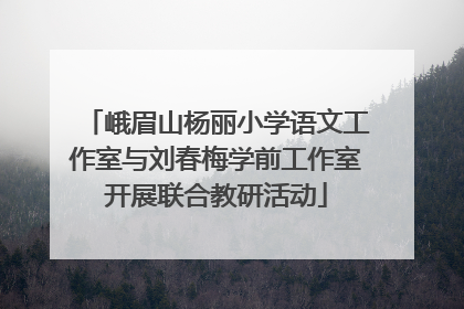 峨眉山杨丽小学语文工作室与刘春梅学前工作室开展联合教研活动