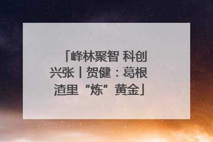峰林聚智 科创兴张丨贺健：葛根渣里“炼”黄金