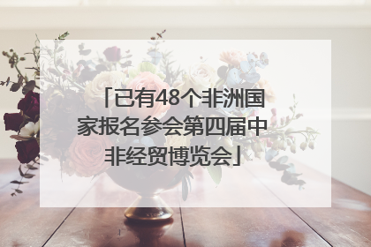 已有48个非洲国家报名参会第四届中非经贸博览会