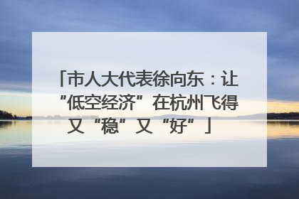 市人大代表徐向东：让“低空经济”在杭州飞得又“稳”又“好”
