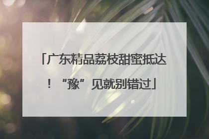 广东精品荔枝甜蜜抵达！“豫”见就别错过