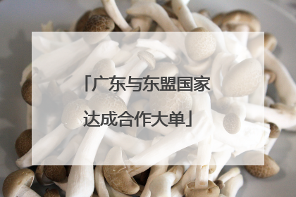 广东与东盟国家达成合作大单