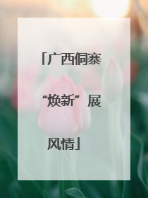 广西侗寨“焕新”展风情