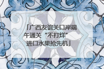 广西友谊关口岸端午通关“不打烊” 进口水果抢先机