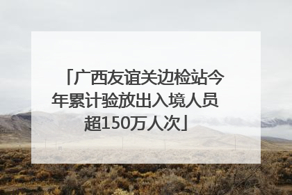 广西友谊关边检站今年累计验放出入境人员超150万人次